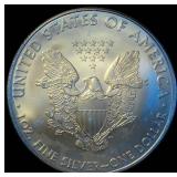 Uncirculated 2010 1oz Silver Eagle