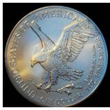 Gem BU 2024 1oz Silver Eagle