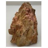 Petrified Wood?  Heavy 4 1/2" Tall x 6" x 4"