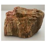 Petrified Wood?  Heavy 4 1/2" Tall x 6" x 4"