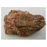 Petrified Wood?  Heavy 4 1/2" Tall x 6" x 4"