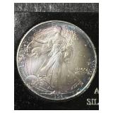 1992 AMERICAN SILVER EAGLE 1 TROY OZ .999 FINE SILVER IN CASE (TONED)