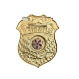 Dobie County Sheriff Badge - Gold Tone Decorative Shield