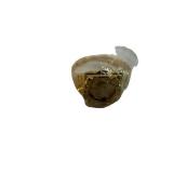 Lucky Charms Initial Ring - Promotional Mailer from General Mills