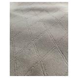 Light Gray Diamond Pattern Area Rug - Bound Edges, Used