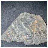 Chert/Flint Rocks with Ridge Texture & Wood Tile (Lot of 4)