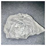 Chert/Flint Rocks with Ridge Texture & Wood Tile (Lot of 4)