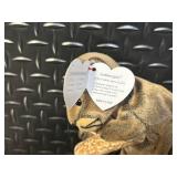 TY Beanie Babies Collection - Assorted Plush Beanie Babies (20 or More Pieces)