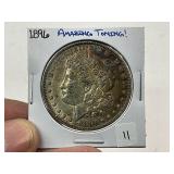 1896 Morgan Silver Dollar