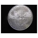 2010 American Eagle $1 Silver Coin