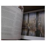 Large lot of Waterfowl of America b...