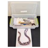 Linda Lehman Polygon Weave Necklace Kit