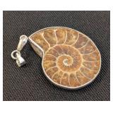 Fossilized Ammonite Pendant with Silver Tone Setting