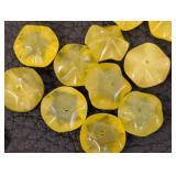Assorted Drilled Stone Beads - Polished Discs & Rounds