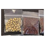 Miyuki Teardrop Beads - Assorted Colors, 38 Packs