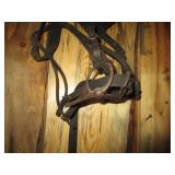 Horse Halter w/Blinders