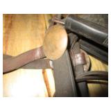 Horse Halter w/Blinders