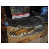 Alligator Head Mount