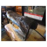 Alligator Head Mount