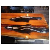 (2) Skunk Pelts