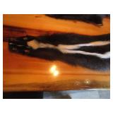 (2) Skunk Pelts