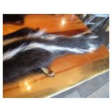(2) Skunk Pelts