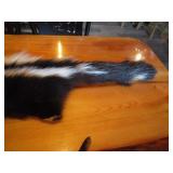 (2) Skunk Pelts
