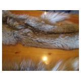 (2) Coyote Pelts