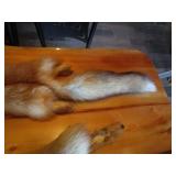 (2) Fox Pelts