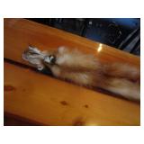 (2) Fox Pelts