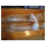 (2) Coyote Pelts