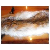 Badger Pelt & ?Tail