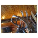 Deer Head Mount (Very Thick Rack)