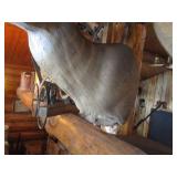 Deer Head Mount (Very Thick Rack)