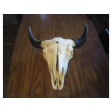 Bison Skull