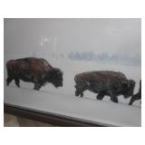 Large Bison Picture 63"x33"