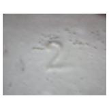 Western Stoneware Crock