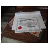 Budweiser Collectable Cate & Bottles 11"X11"X17"