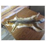 Fox Pelt