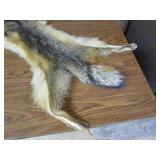 Fox Pelt
