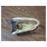 Alligator Head & Small Antlers