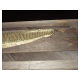 Rattle Snake Skin 41"