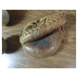 Catchers Mitt & Softballs