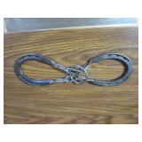 Horse Shoe Puzzle
