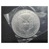 2004 1 Oz. American Silver Eagle