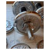 York Barbell Dumbbell Set with Chrome Weight Plates