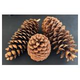 Stuffed Angel 16-inch Tall Christmas Decor Lot - Snowman, Santa, Pine Cones, Glassware