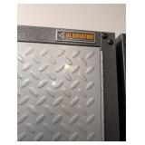 G - Gladiator by Whirlpool 36 in W x 18 in D x 72 in H Garage Storage Cabinets - Pair