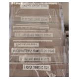 LS - Papertrey Ink Embossing Dies/Thinlets Lot - Frames, Borders & Alphabets