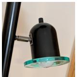 LB - Floor Lamp - 72 in. Tall, Black with Teal Ring Accents & 2 Adjustable Heads
